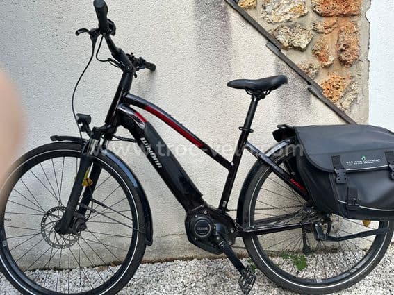 Vélo à assistance électrique - 2
