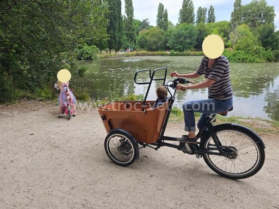 Triporteur Babboe Flow Montain 500 Wh - 1