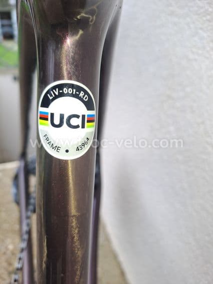 Liv Langma Advanced SL - 4