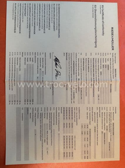 Pedelec Riese Muller Delite GX Rohloff taille 54 - 6