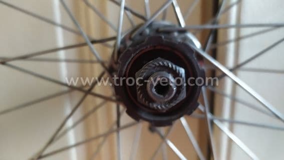 Roue arrière campa - 3