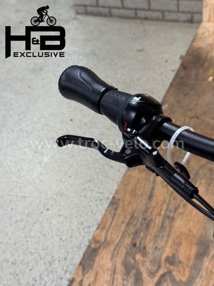 Gazelle Ultimate C8+ HMB Belt Vélo électrique Shimano Nexus 2023 - 5